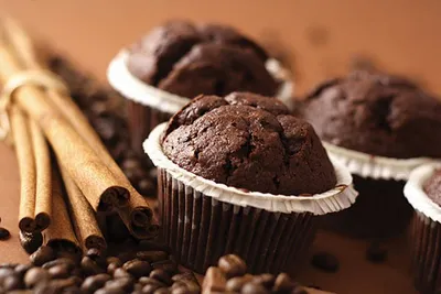 Tegral Daily Muffin Cocoa